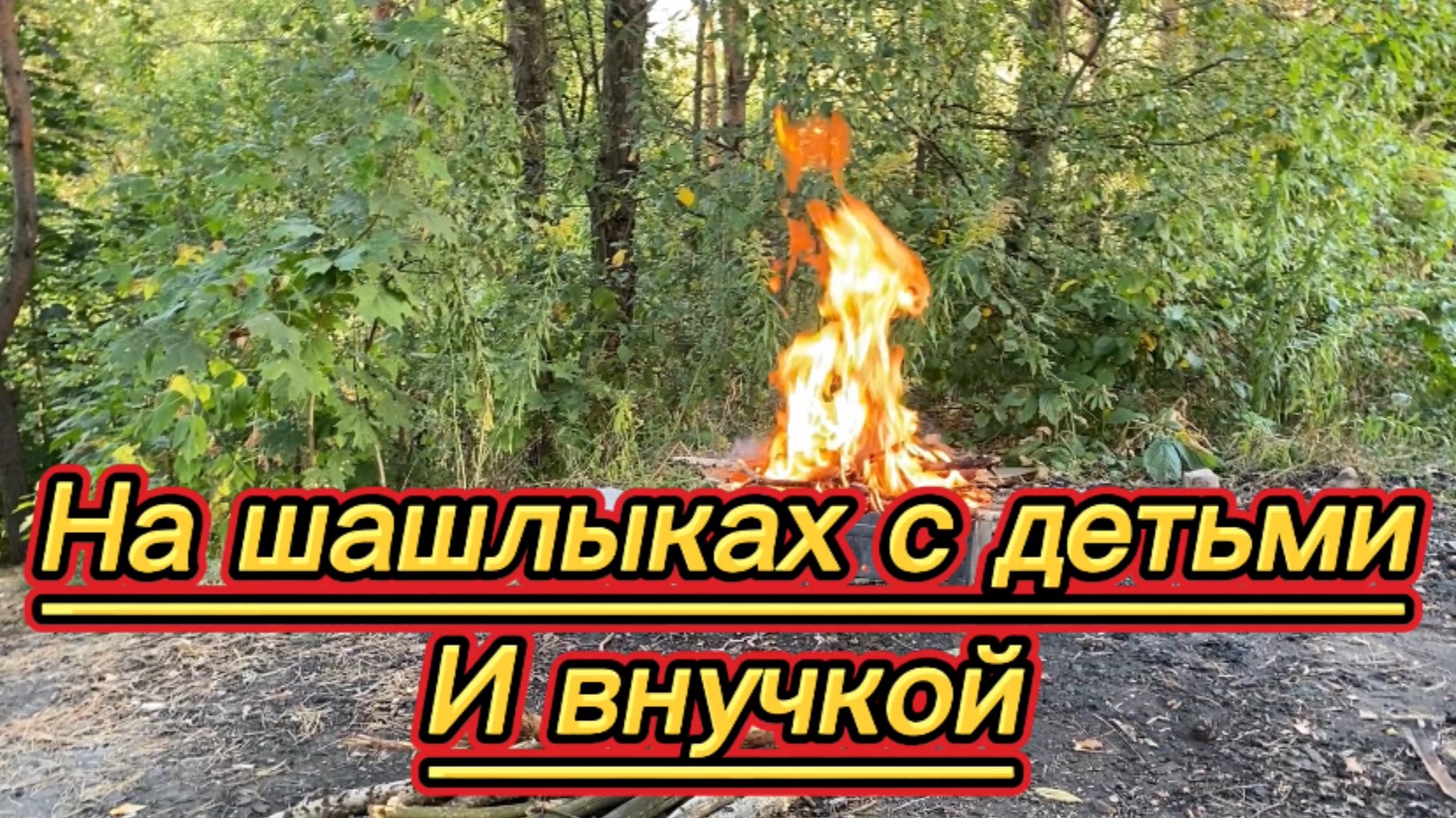 На шашлыках с детьми и внучкой!