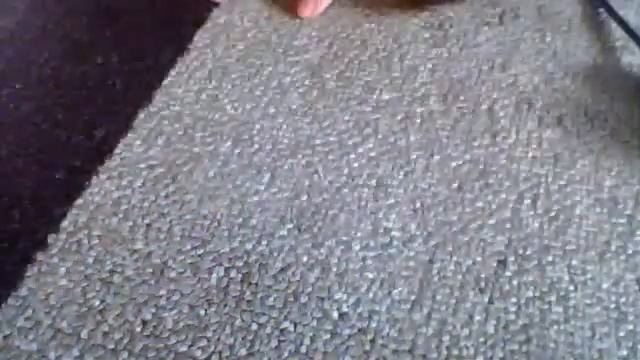 Видео с веб-камеры. Дата: 3 марта 2013 г., 15:00.