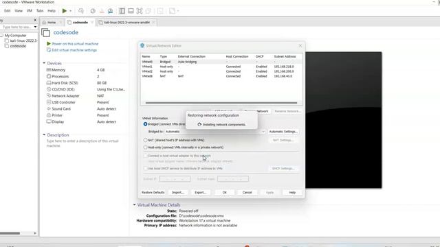 Your network probably is not using the DHCP protocol Error! Kali Linux #kalilinux #codesode,#vmwar