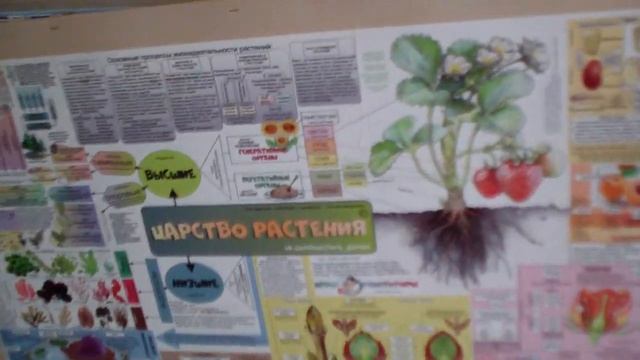 Обзор детской комнаты.mp4