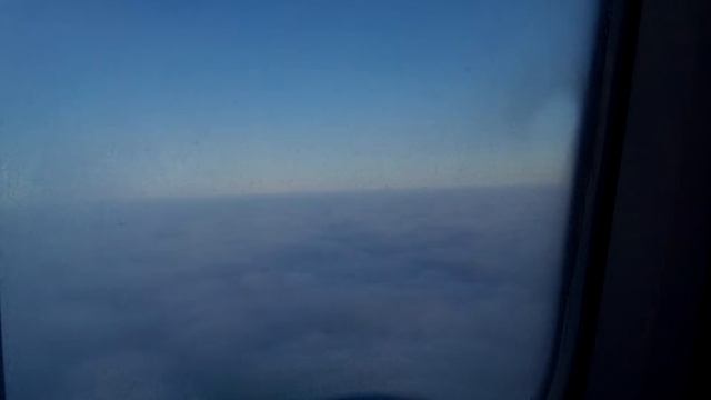 Приземление кокера-спаниеля Макса))