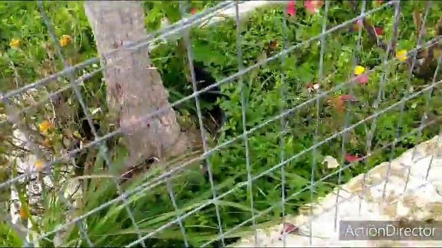 🌷Весна в Греции ☘️Еретрия 3-3-2020