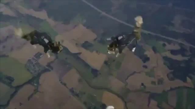 Skydiving Cats Коты на парашютах!