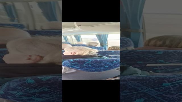 Смотреть видео онлайн