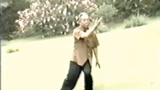 Мастер Ван Пэйшен (王培生) демонстрирует У ши тайцзи цюань 1980-е г. / Wang Peisheng 1980's