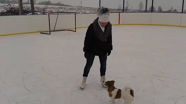 Ирина Калинина. Звезда на льду! Шокирующее падение звезды)))))))))))))