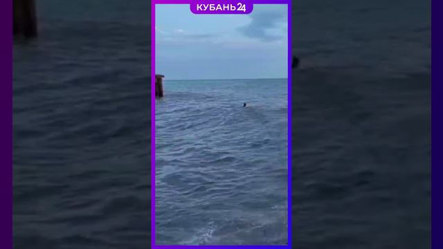 Два парня в шторм застряли на пирсе в 50 м от берега на диком пляже в Сочи