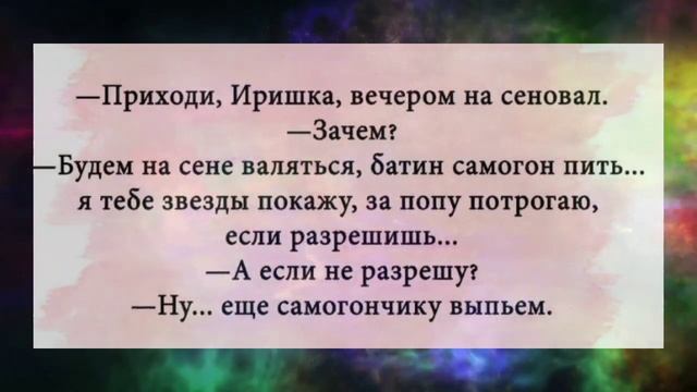 Смешные анекдоты про знания ГИБДД , про толстую тетку....