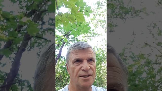 Тренинг на релаксацию и управление подсознанием