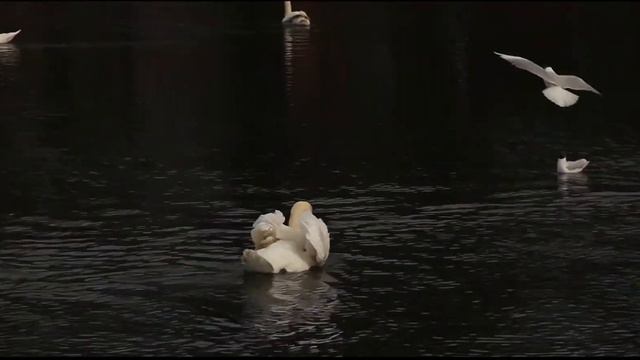 Парк Сормова Нижний Новгород
