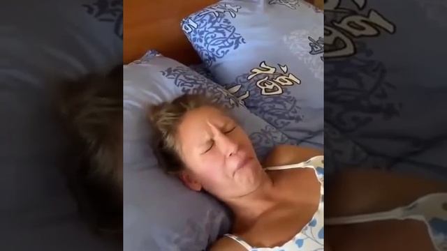 Несладко спится