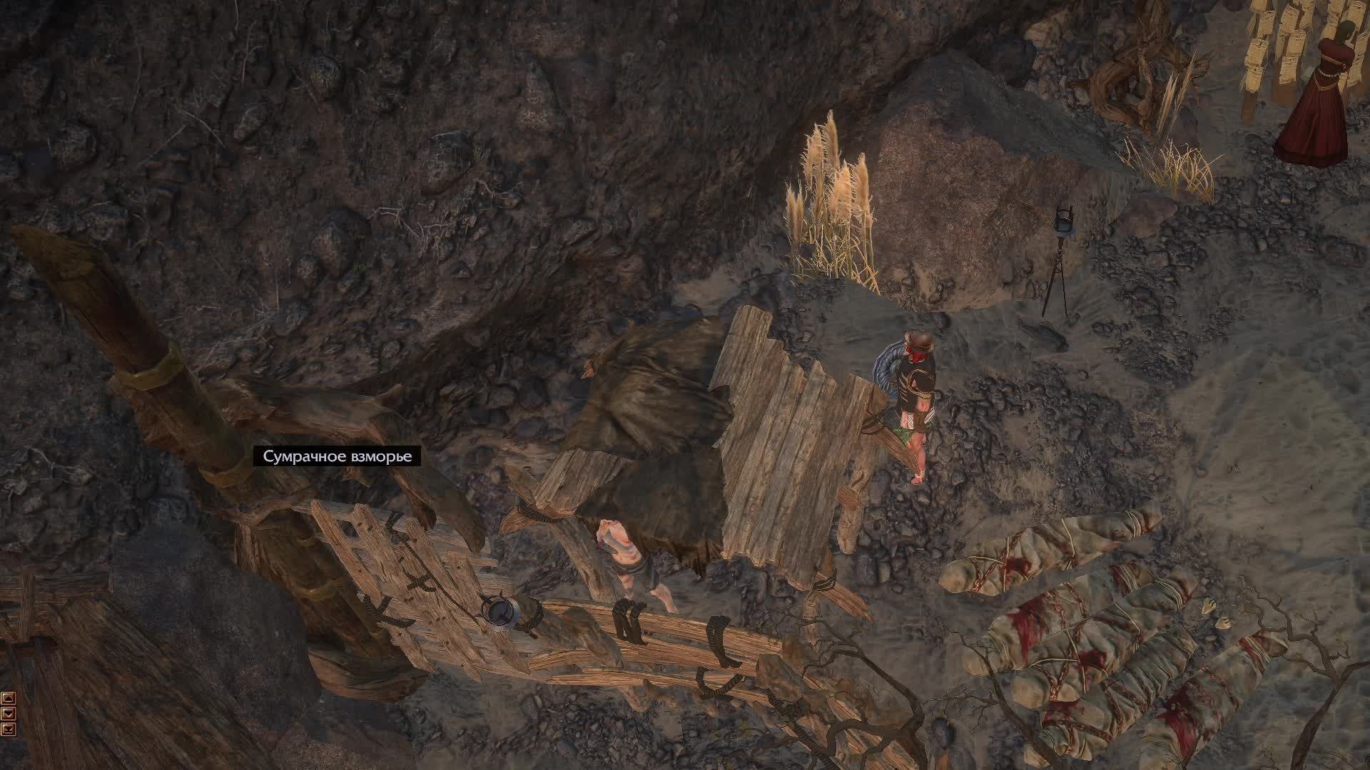 Path Of Exile