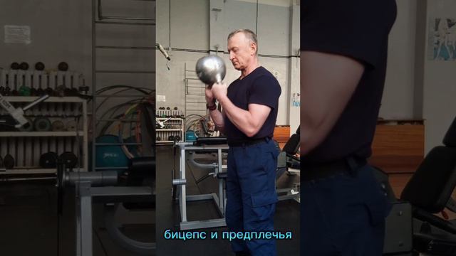 бицепс и предплечья