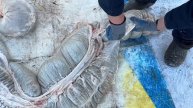Согым.ЖЫЛКЫНЫН IШЕК КАРЫНЫН толык тазалау ,Как чистить кишки ,Конина.