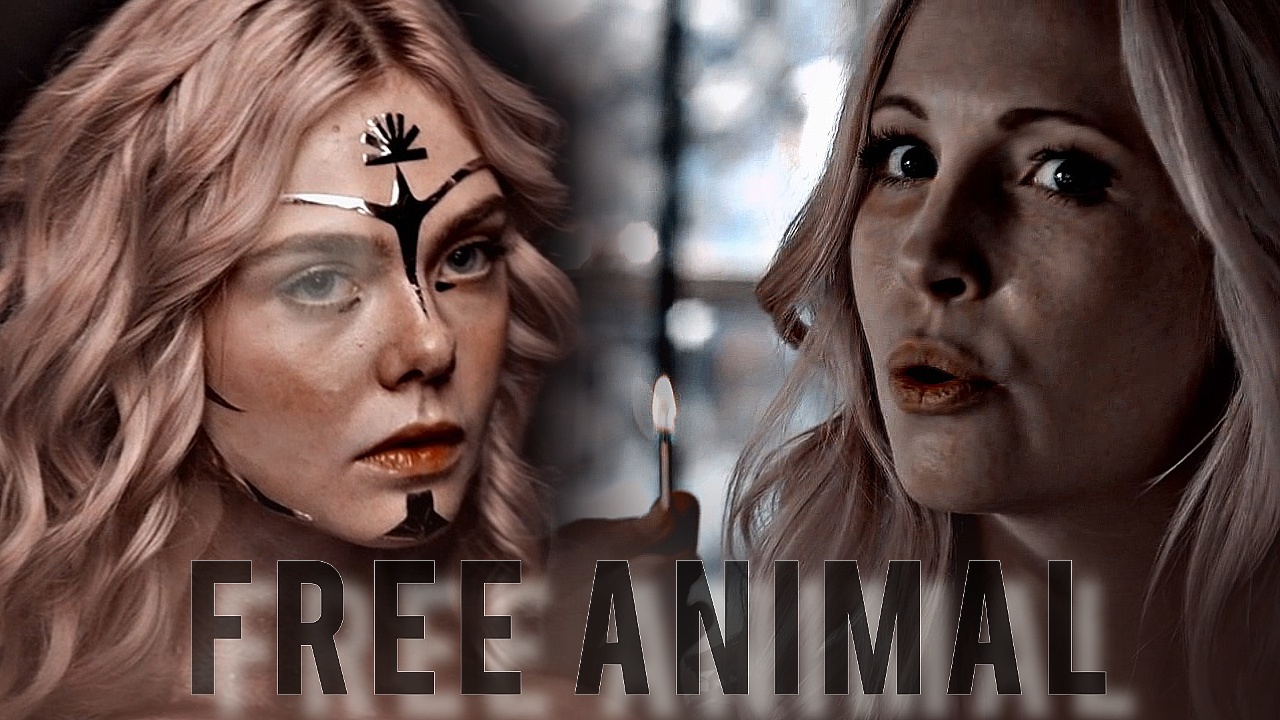 ▶ MultiFemale || FREE ANIMAL [+MoviePineapple]