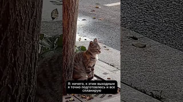 Ну к этим точно подготовлюсь