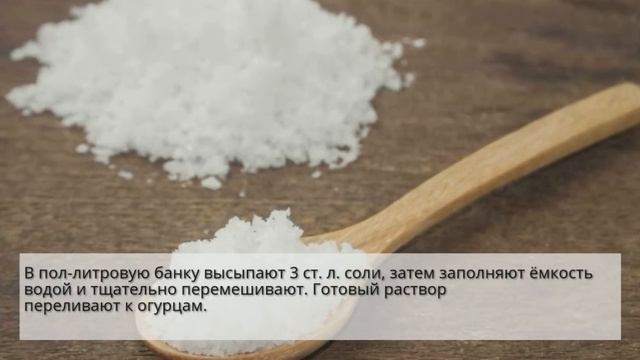 Рецепт вкусных солёных огурцов