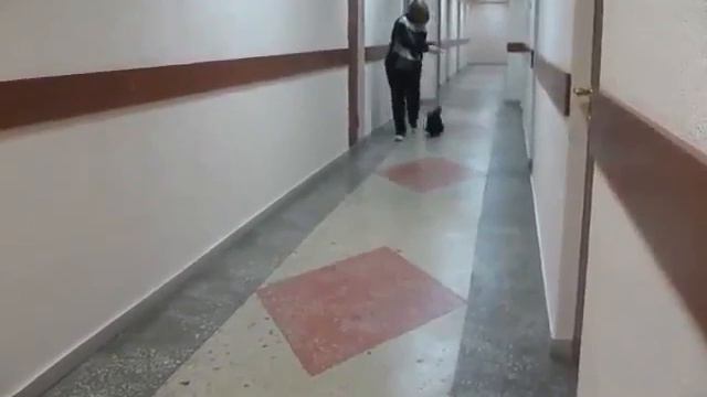 Русская Салонная ( Дарк ): Хай Меджик Юджиния, зав. вл. Андреева О.