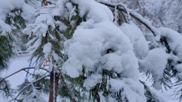 Первый снег