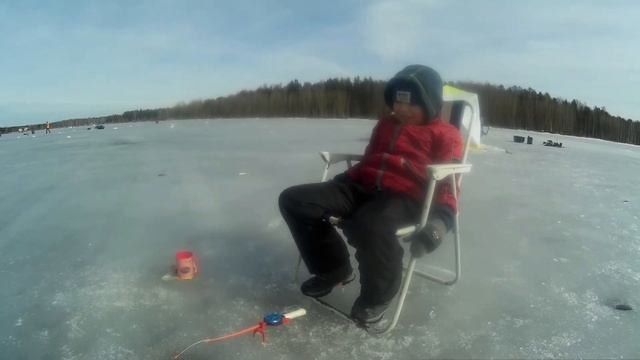 Подлещик на Исинском пруду. Верхняя Салда.