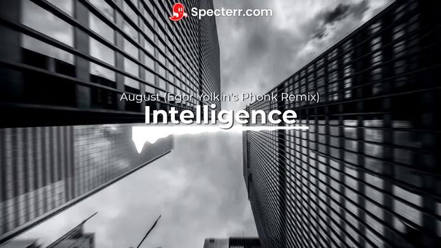 Intelligence - August (Фонк ремикс Егора Ёлкина)