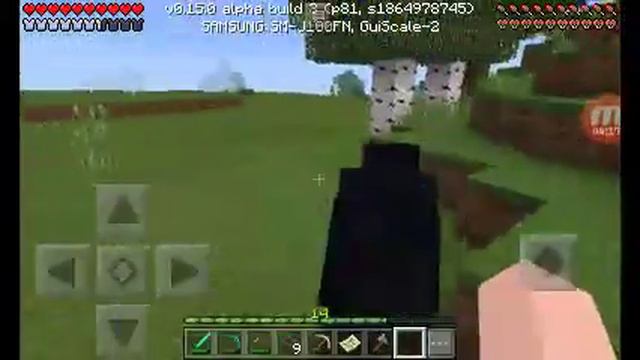 Lp.Летний Майнкрафт.ч9.осёл.