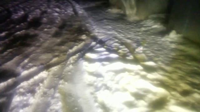Разница 3000к и 5000к ламп в линзе