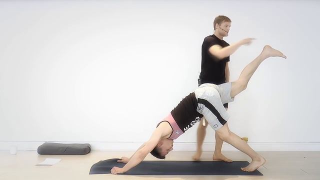 FREE Yoga Flow Class for Beginners | Yoga for BJJ | Stretches for Jiu Jitsu (2022)