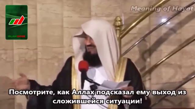 Истории Пророков 18 из 29 _ Айюб и Юнус (мир им) _ Муфтий Менк