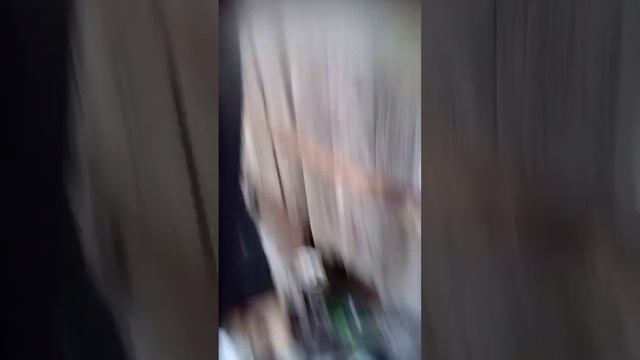 кароче день в памойке