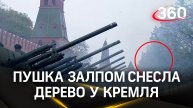 Лихим залпом пушка разнесла часть дерева у Кремля