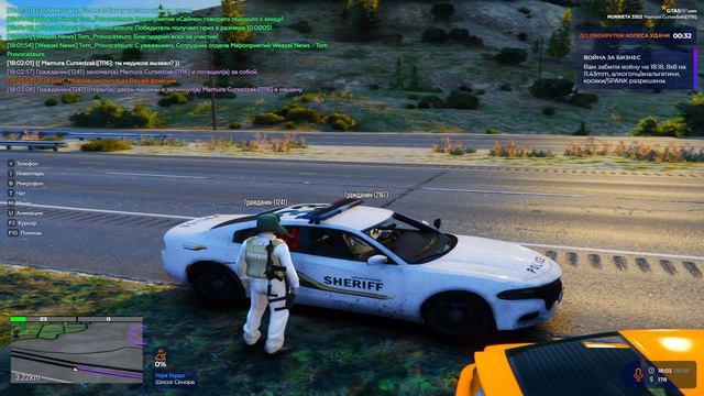 NonRp police