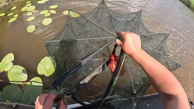 ПОСТАВИЛ РАКОЛОВКИ И БЫЛ УДИВЛЁН НА ПРОВЕРКЕ!!! В ПОИСКАХ КРУПНОГО РАКА...