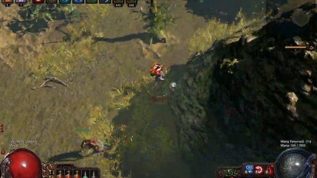 Path Of Exile v1.04 dry woods (71 lvl map) with summoner witch