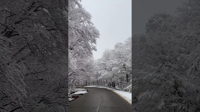 Зимняя природа | Расслабление