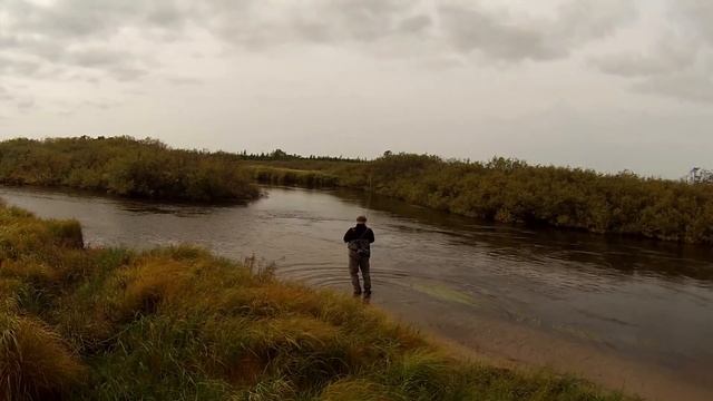 Ловля кеты нахлыстом на Сахалине с клубом Fly Fishing
