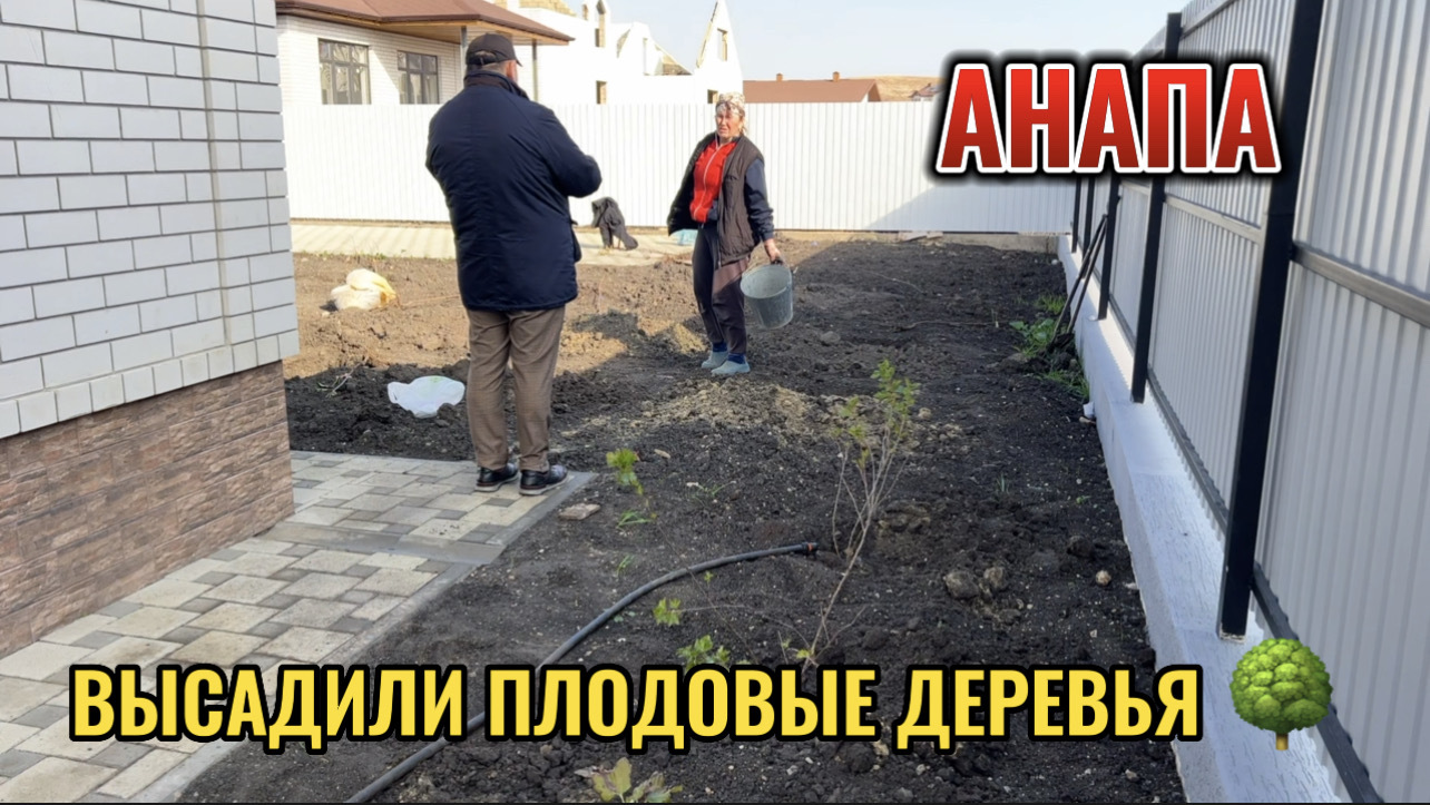 АНАПА.ЗАГОРОД 2.ВЫСАДИЛИ ПЛОДОВЫЕ ДЕРЕВЬЯ.