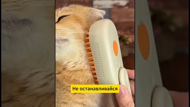 Паровая щетка для кошек Артикул WB 209809130