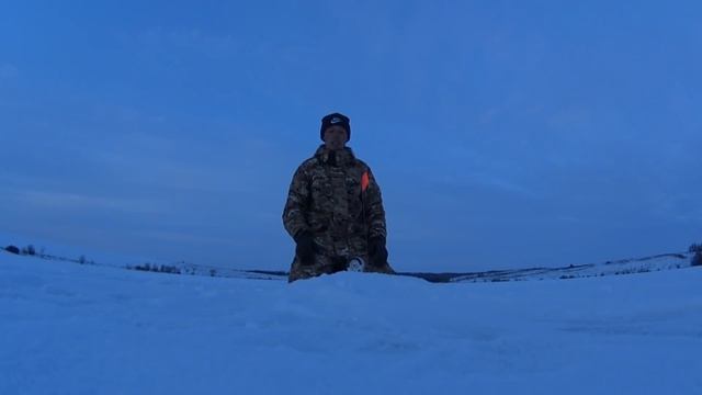 Оставил жерлицы без присмотра на ночь! Рыбалка зимой на жерлицы 2018.