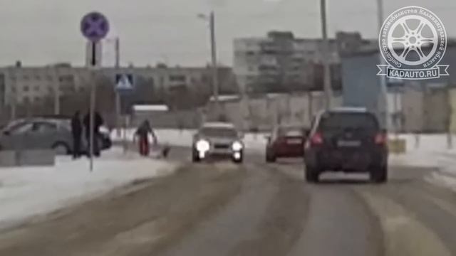 Санки и недовольный водитель. Улица Панина. Калининград. 07.01.17