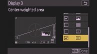 Nikon Z8 and Z9 - 4.10 Autofocus Setup and Button Layout for Bird and Wildlife Photography
