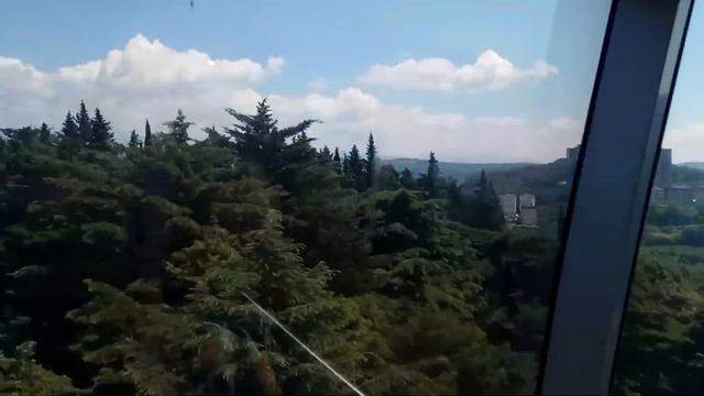 Загадки Сочинского дендрария! 330 км от Гостагаевской и Анапы