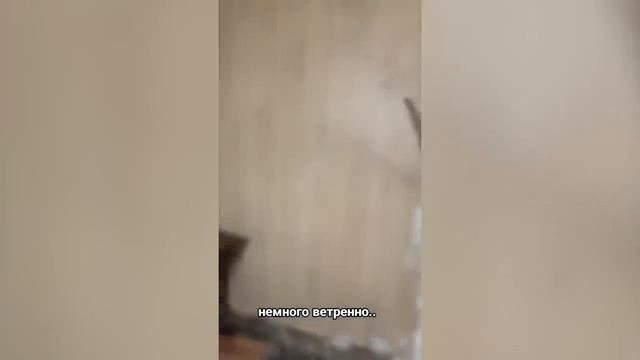 Смешные видео
часть 16