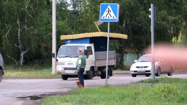 Гриффон Доня на соревнованиях по ВН. Часть В.