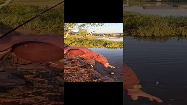 video-b7a3be8f3235874d2c88b1042b9c5682-V.mp4