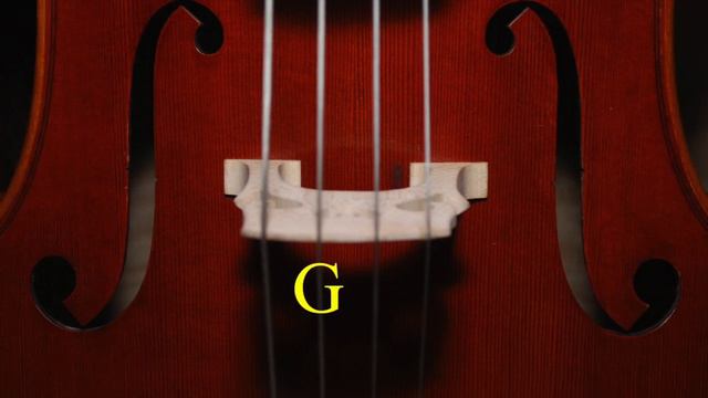 VIOLA Tuner A=440 - Easy to use - A D G C