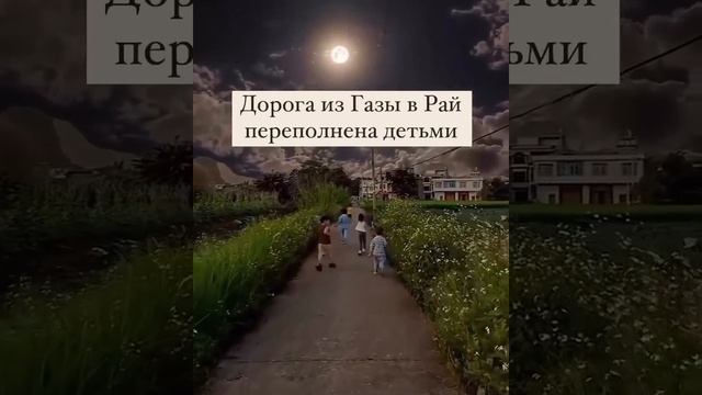 Сектор Газа