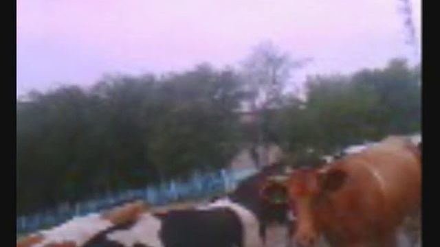 4Воспоминания запись 4