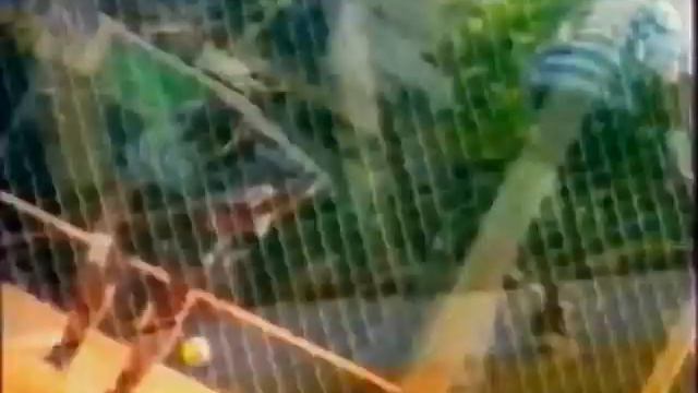 ZUKO - Реклама 90-e Commercial
