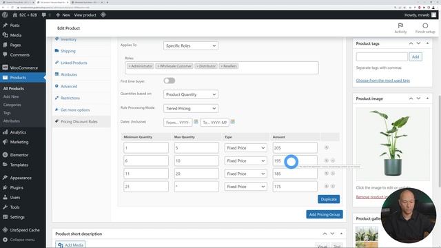 Woocommerce Sell To B2B and B2C from the Same Website